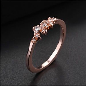 Size 6 Ring